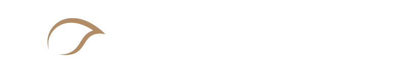 seamlesshealth